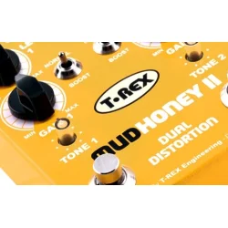 T-Rex Mudhoney 2